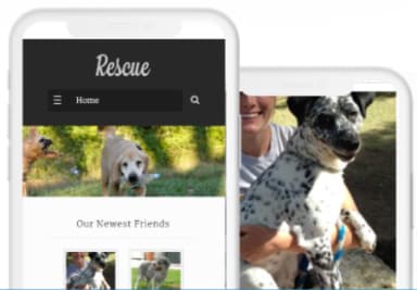 Rescue Responsive Theme